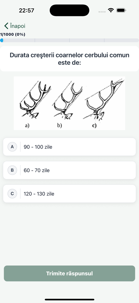 Pregunta de opción múltiple sobre el crecimiento de las astas de ciervo en la aplicación de preparación para el examen de licencia de caza rumana.