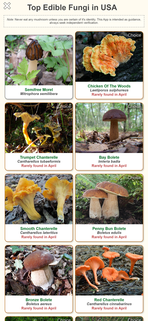 A list of top edible fungi in the USA including morels and chanterelles shown in the Shroomify app