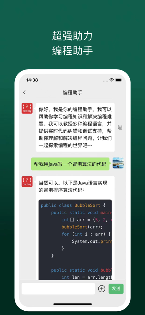 Chat Plus app screen showing a Chinese AI coding assistant providing Java bubble sort algorithm code