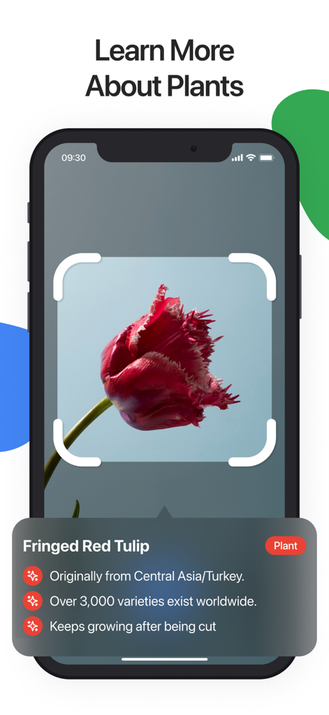 Lens Scan mobile app identifying a fringed red tulip and showing plant facts