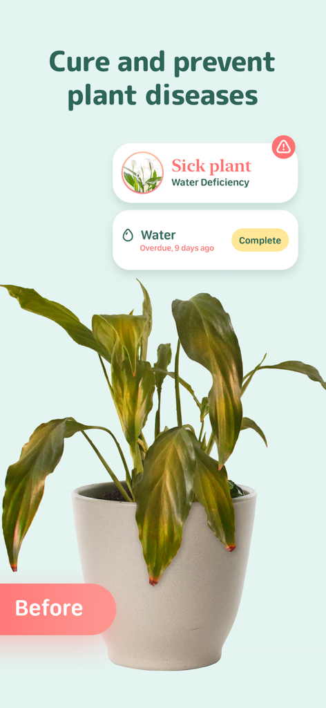 Blossom app interface identifying a sick plant with water deficiency and providing care reminders