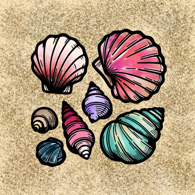 shells