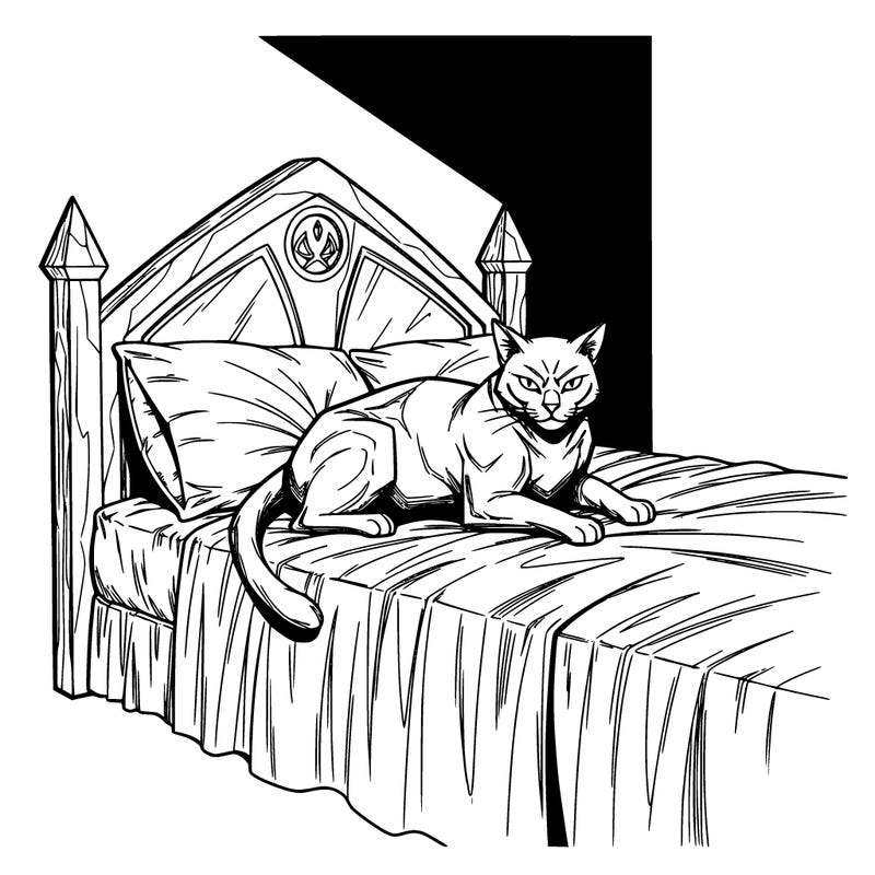 cat on bed