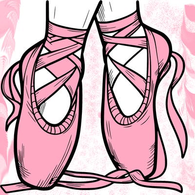 ballet shoes