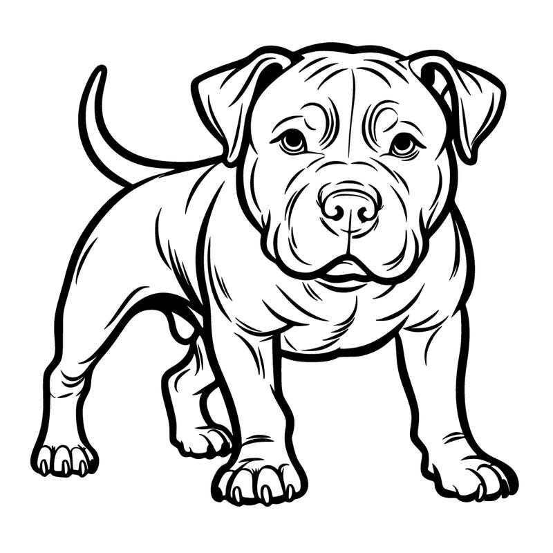 pitbull