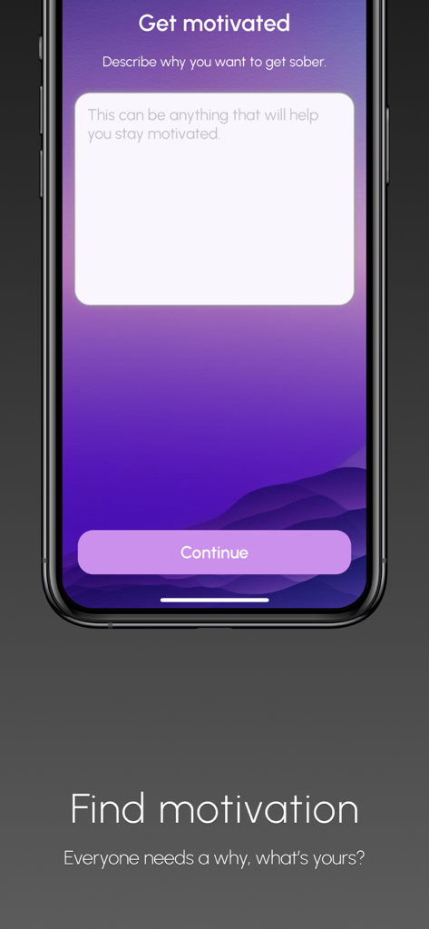 Sobriety Counter - A mobile screen from the Sobriety Counter app asking users to describe their personal reasons for staying sober.