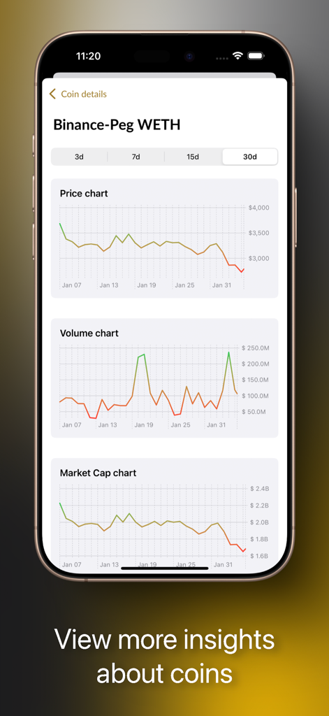 Binance Smart Chain Explorer app showing detailed price volume and market cap charts for a specific coin