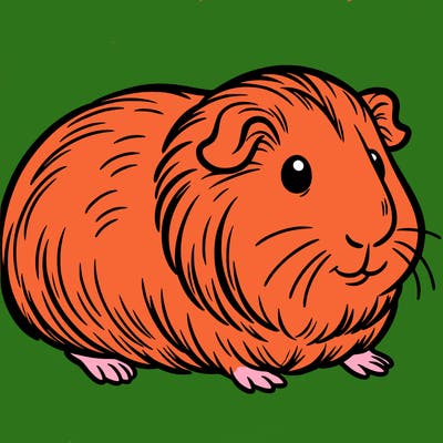 guinea pig