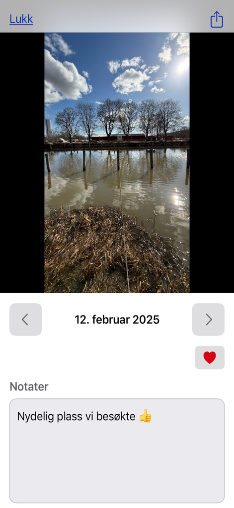 New-Day - A daily photo entry in the New-Day app featuring a scenic landscape picture and a personal note