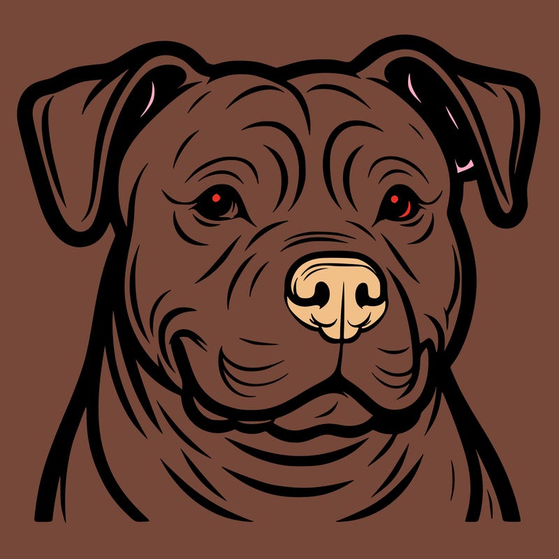 pitbull