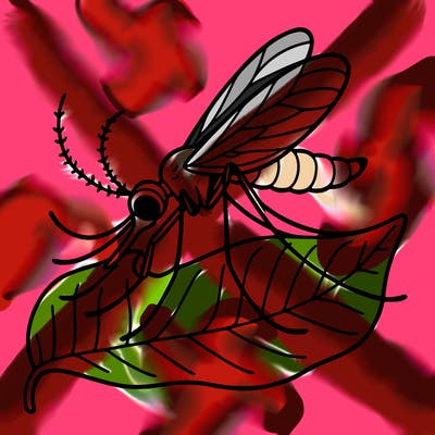 mosquito on a leaf.