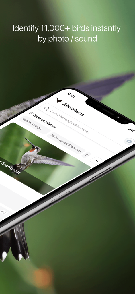 Aboutbirds - Aboutbirdsモバイルアプリのインターフェイス、写真と音声による鳥の識別が表示され、検索履歴にハチドリが表示されている