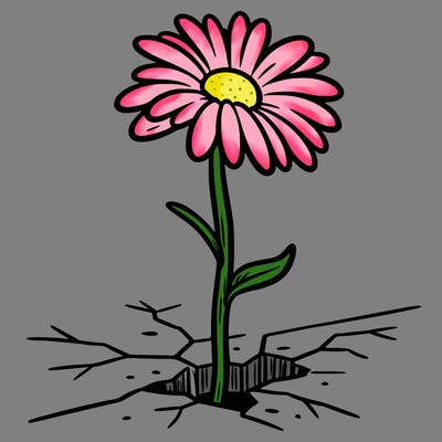 drawing of a daisy coming out of a sidewalk crack
