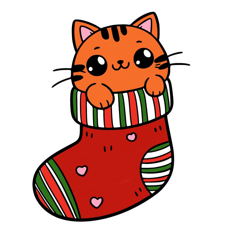 cute cat in a sock