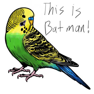 realistic budgie