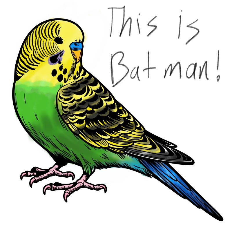 realistic budgie