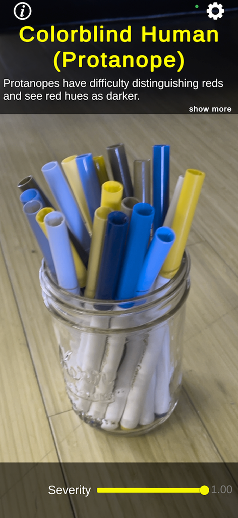 CreatureVision 앱의 스크린샷으로, 마커 병에 대한 프로타노피 색맹 시뮬레이션 표시