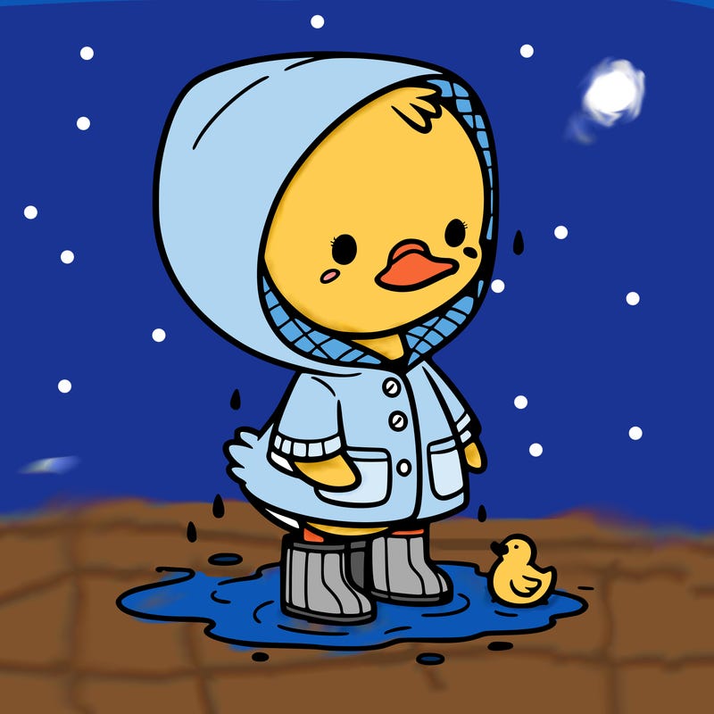 baby duck in a rain coat and boots, in a puddle while it’s raining