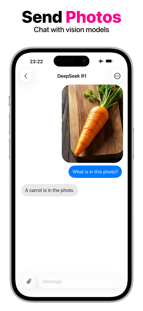 OfflineLLM: Private AI Chat - Private AI chat identifying a carrot in a photo using local vision models on iPhone