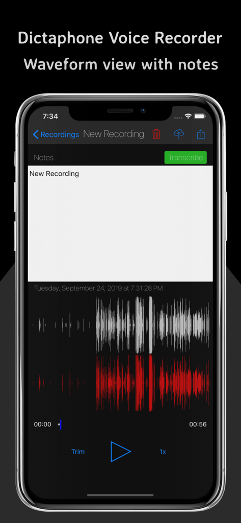 Dictaphone Voice Recorder - Dictaphone Voice Recorder app interface showing an audio waveform with notes and a transcribe button on an iPhone screen