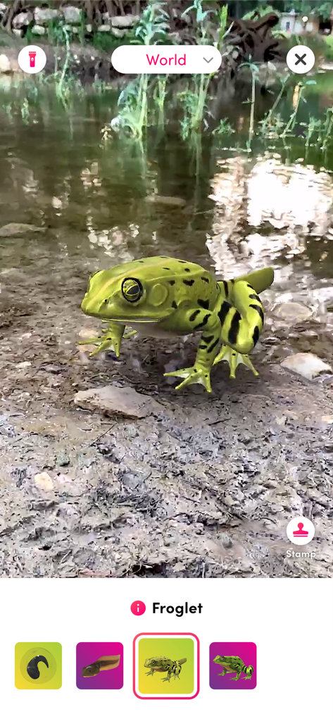 Merge Object Viewer - Vue en réalité augmentée d'un modèle de têtard 3D dans un environnement de mare naturelle à l'aide de l'application Merge Object Viewer.