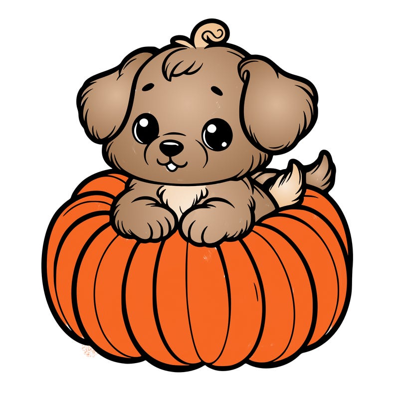 cute little puppy in a pumpkin