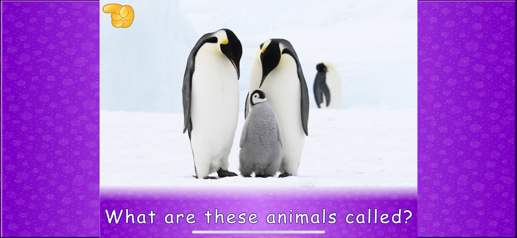 Animal picture games for kids - Kids animal app showing penguins with a question asking for their name