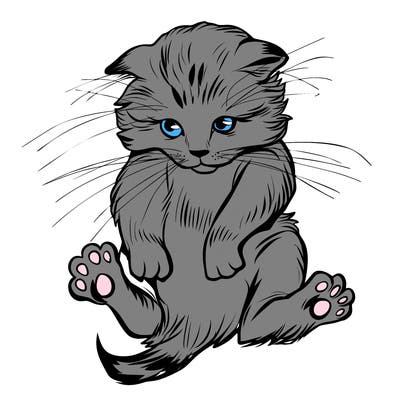 animals_20