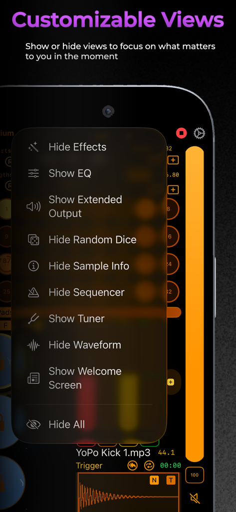 Samposium: Performance Sampler - Samposium app screenshot showing the customizable interface views menu for optimizing music production workflow.