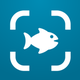 Fish Identifier AI: Fish ID