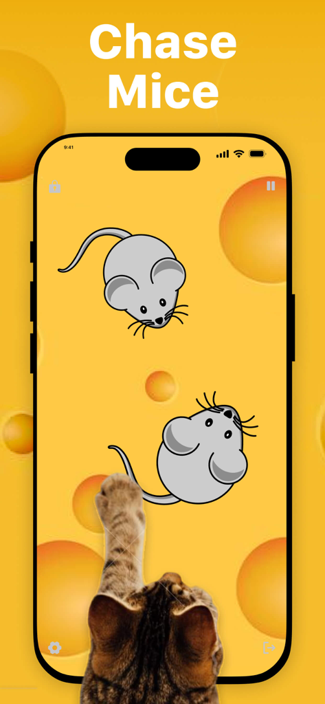 Games for Cats & Kitty - A cat playing a mouse hunting game on a smartphone with a yellow cheese-themed background