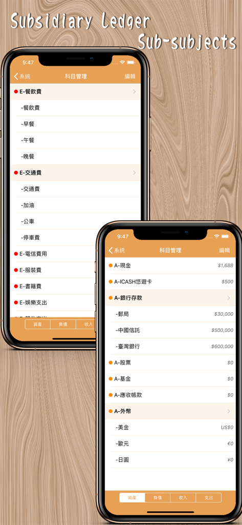 Accounting Book - MyAsset V2 - Two mobile screens displaying hierarchical sub-accounts and subsidiary ledgers for tracking assets and expenses in the MyAsset V2 app