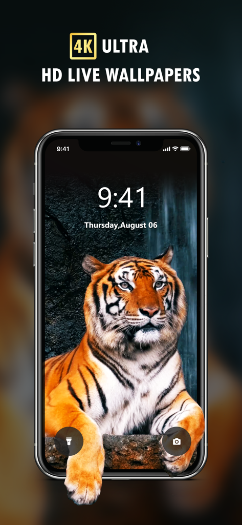 Live Wallpaper 4K Themes - Un écran d'iPhone affichant un fond d'écran animé 4K Ultra HD d'un tigre
