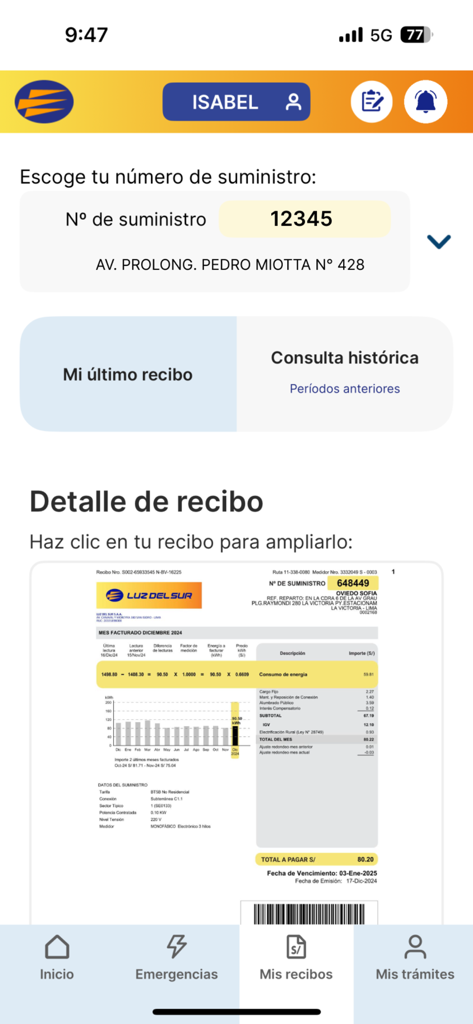Luz del Sur - Interfaz de la aplicación móvil Luz del Sur que muestra un recibo de luz digital y detalles de consumo.