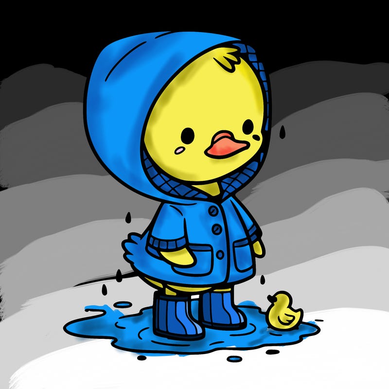 baby duck in a rain coat and boots, in a puddle while it’s raining