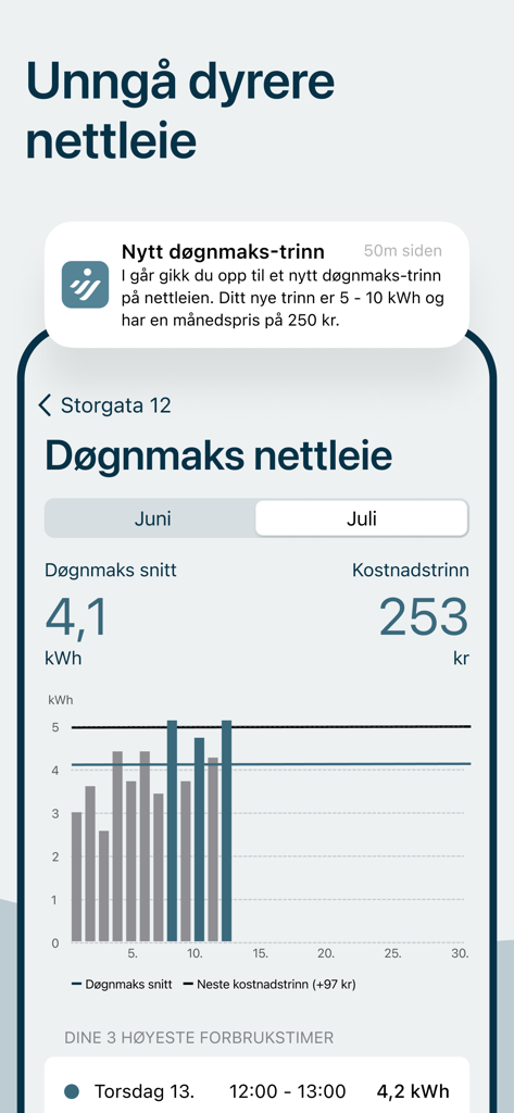 Interface of VEV Strom app showing a bar chart of daily energy consumption and peak grid rent levels