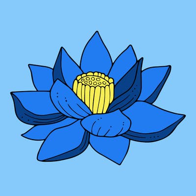 flowers_08
