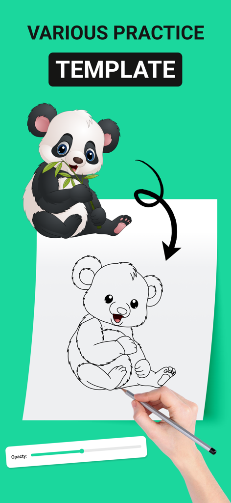 FlipArtify - 2D Draw Animation - Um usuário traçando um esboço de panda usando um modelo de desenho no aplicativo FlipArtify.