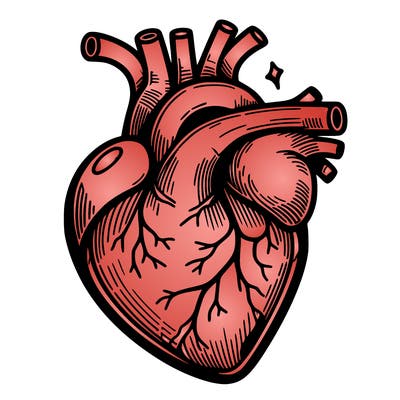realisticl heart