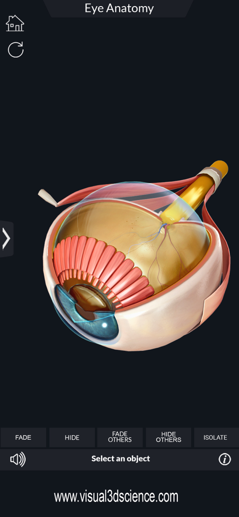 A detailed 3D model of the human eye showing internal structures in the My Eye Anatomy medical app.