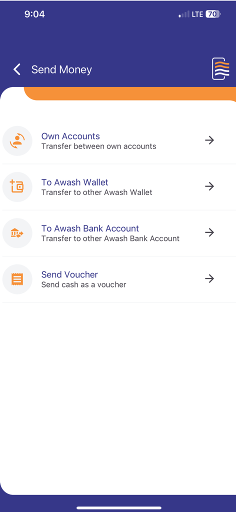 AwashBIRR Pro - Interface of AwashBIRR Pro app showing money transfer options to own accounts wallet bank accounts and vouchers