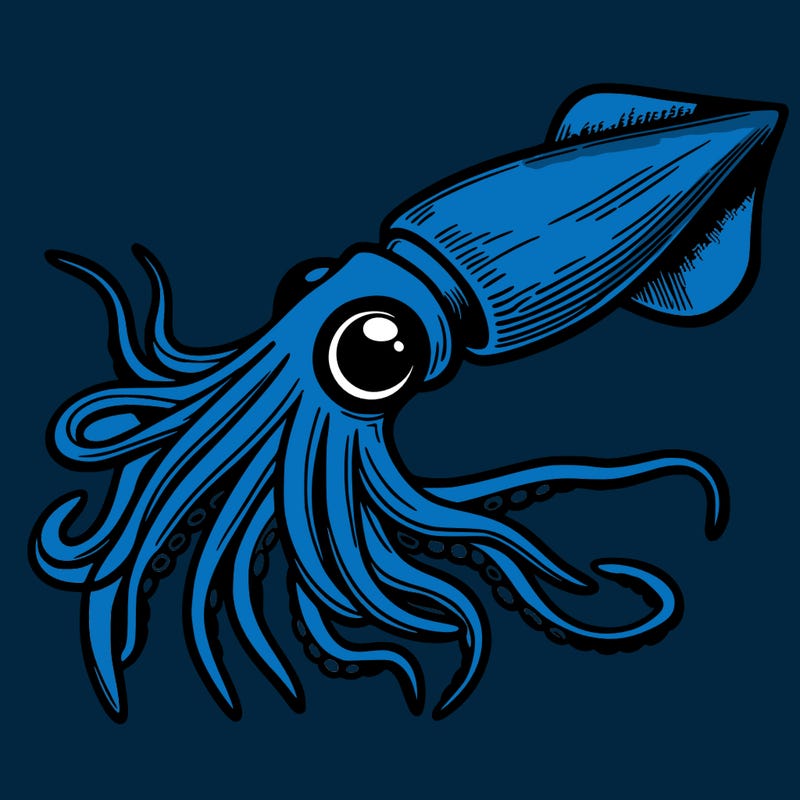 squid