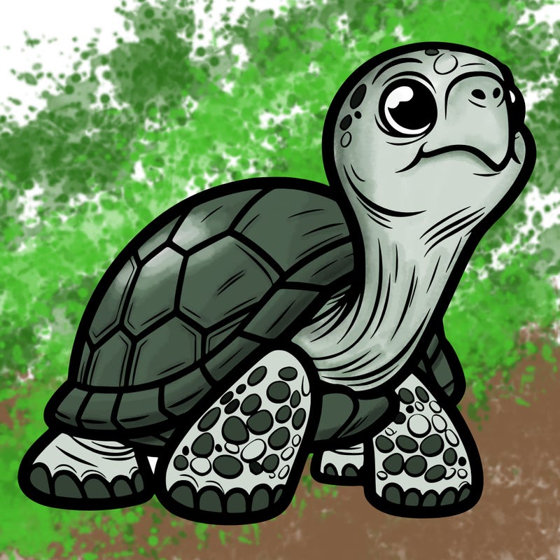 galapagos tortoise
