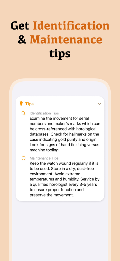 Screenshot of Antique Identifier app showing expert maintenance and identification tips for vintage items