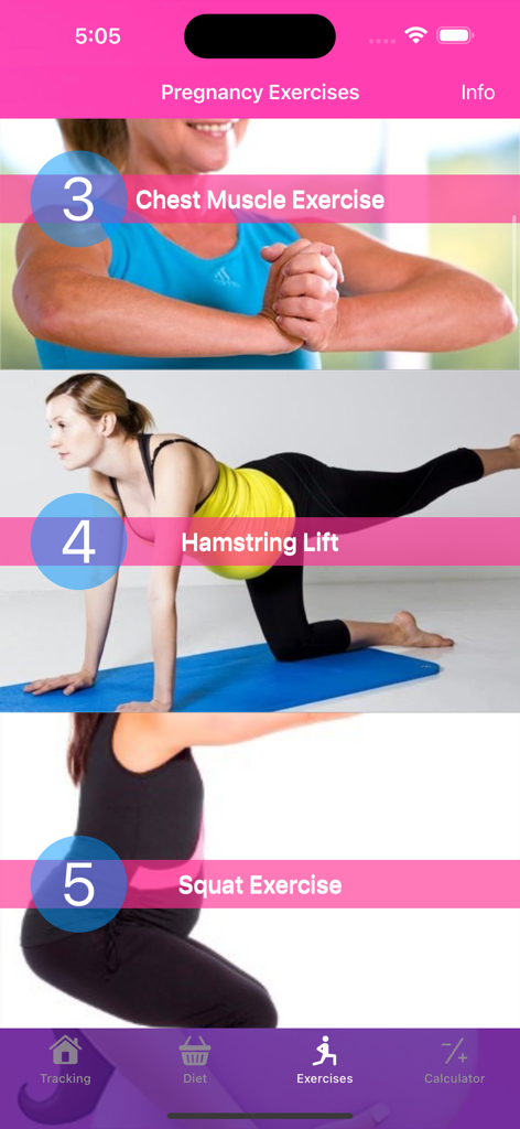 Pregnancy tracker & calculator - A mobile app screen listing safe pregnancy exercises including chest muscle exercise hamstring lift and squats