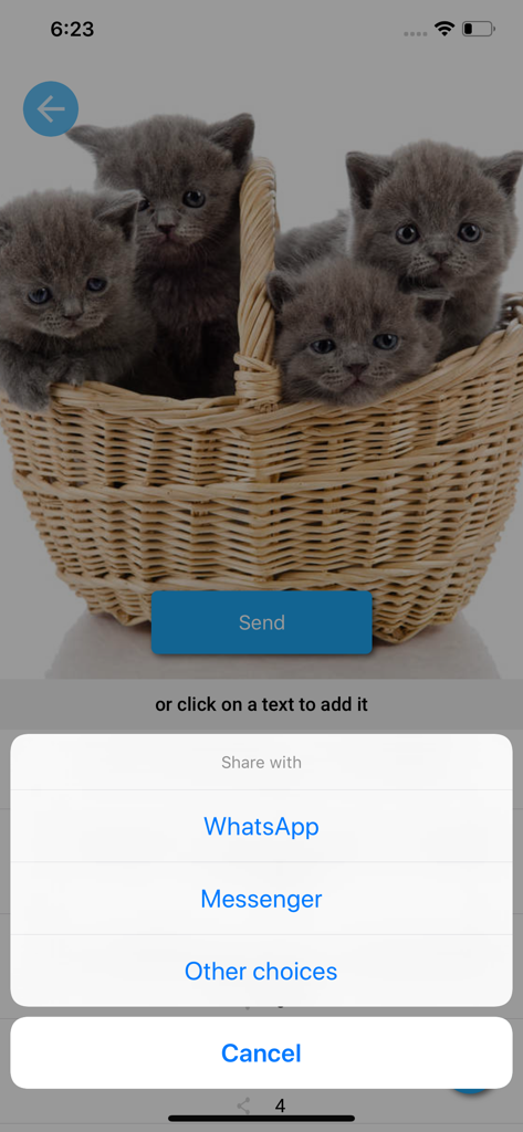 Emoji Elite + GIFs - Interfaz de la aplicación Emoji Elite mostrando opciones para compartir una imagen de gatito en WhatsApp y Messenger.