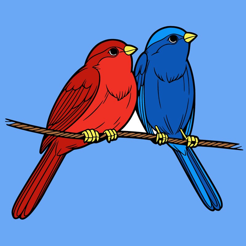 two realistic birds on a wire