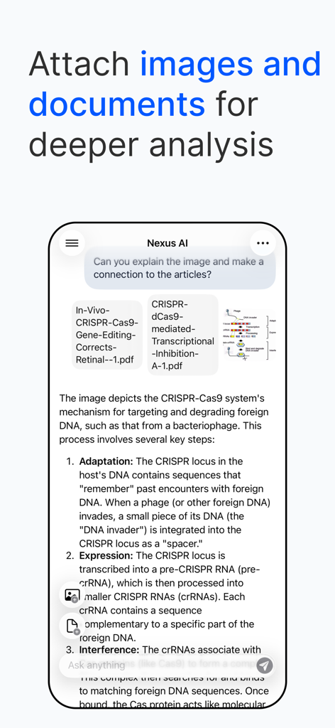 Nexus AI Chat Assistant - Nexus AI Chat Assistant interface showing the analysis of uploaded PDF documents and images for research