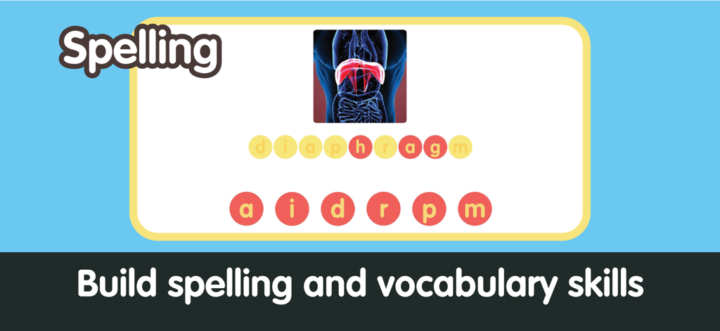 Human Body for Kids - Anatomy - Una pantalla que muestra un juego de anagramas de ortografía para la palabra diafragma dentro de una aplicación educativa de anatomía para niños.