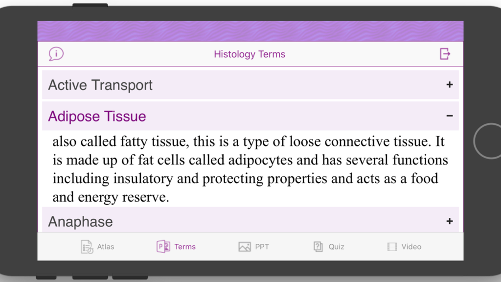 Histology Cell Tissue - Tela de Termos de Histologia com uma definição de Tecido Adiposo.